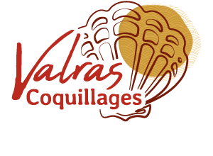 Valras coquillages