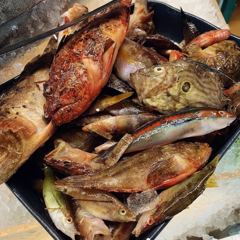 poissons-valras-coquillages_8544