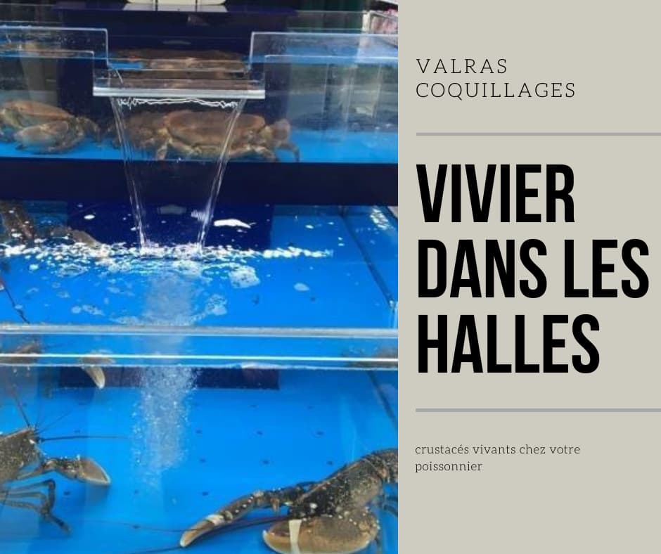 vivier-valras-coquillages