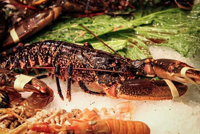 le luxe du homard